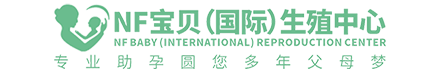 海付网